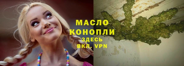 ешки Гусев
