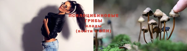 ешки Гусев