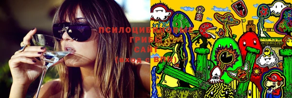 jwh Гусиноозёрск