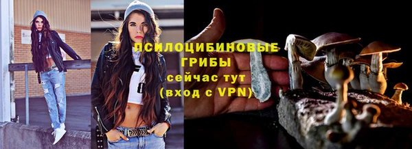 дмт Гусь-Хрустальный