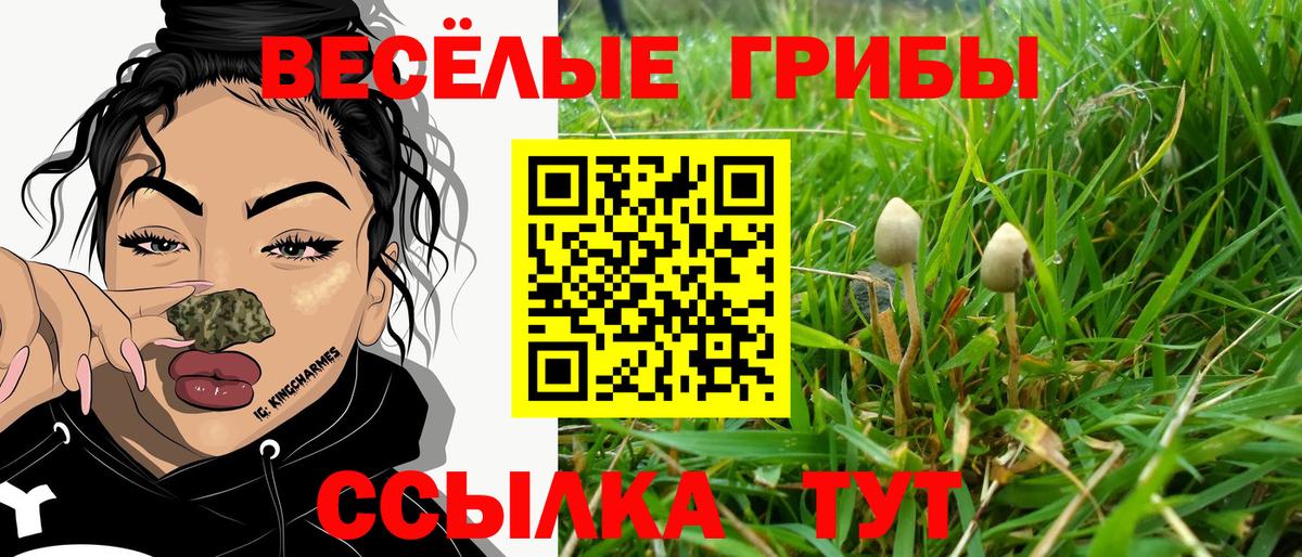 Галлюциногенные грибы прущие грибы  Псилоцибиновые грибы Magic Shrooms  Знаменск 