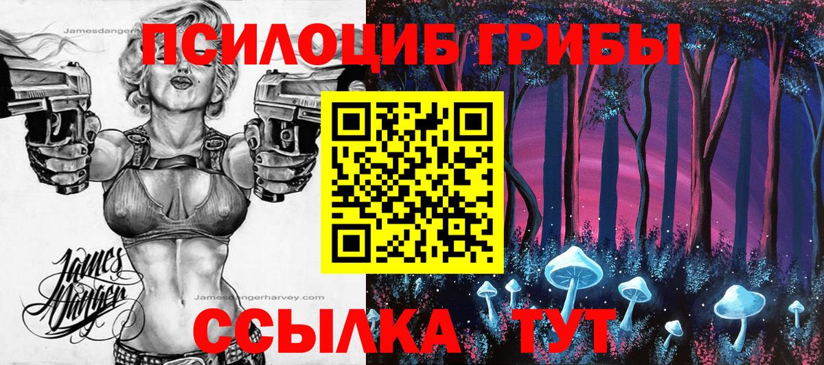 Псилоцибиновые грибы Psilocybine cubensis Знаменск
